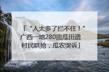 “人太多了拦不住！”广西一地280亩瓜田遭村民哄抢，瓜农哭诉